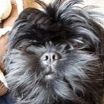 Profile Picture of Graham Rowley (@growley1959) on Instagram