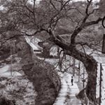 Profile Picture of Marcus Shin (@marcushin605) on Instagram