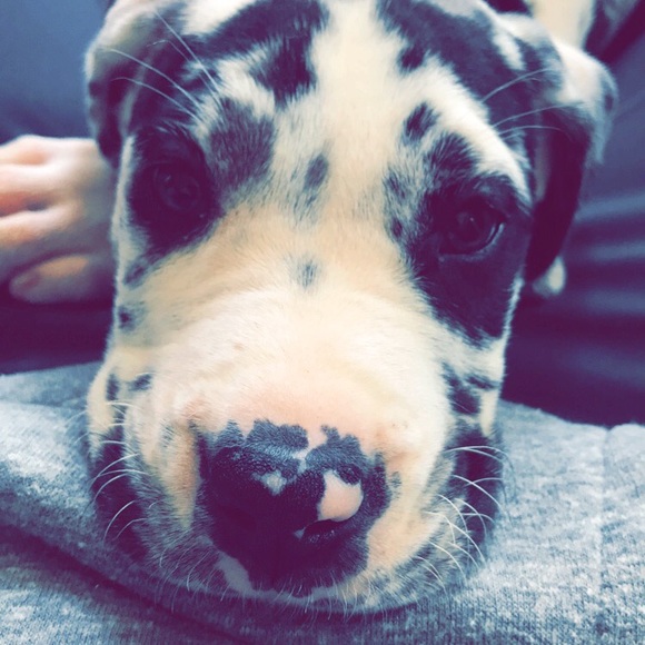 Profile Picture of Rachel Ribner (@rribner) on Poshmark