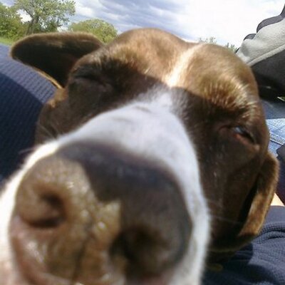 Profile Picture of Cleo McDowell (@LumpyCleo) on Twitter