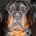 Profile Picture of Keith Isom (@badisom) on Pinterest