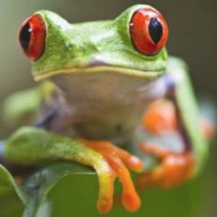 Profile Picture of John Faull (@JFSTORM123) on Twitter