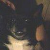 Profile Picture of William Bunch (@william.bunch.52) on Facebook