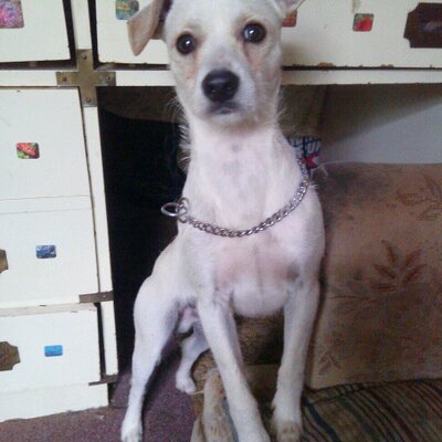 Profile Picture of Randy Coffey (@randycoffey1982) on Twitter
