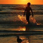 Profile Picture of Tom Sanchez (@spiritbeachtom) on Instagram