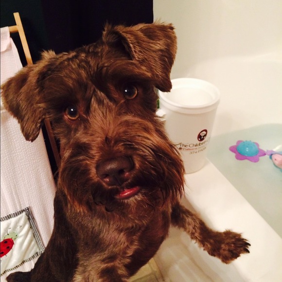 Profile Picture of Stephanie Smallen (@pipersmom365) on Poshmark