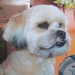 Profile Picture of Carol Esbenshade (@carol.esbenshade.3) on Facebook