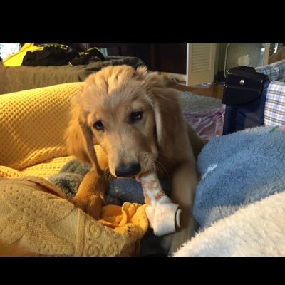 Profile Picture of Jared Alan (@J_Alan11) on Twitter