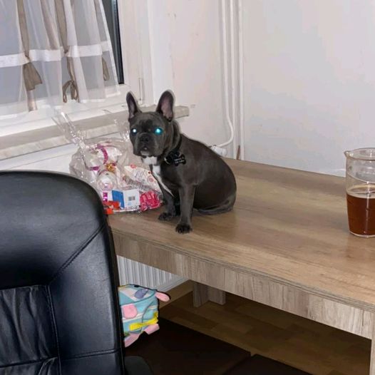 Profile Picture of Kevin Hard (@kevinhard6) on Tiktok