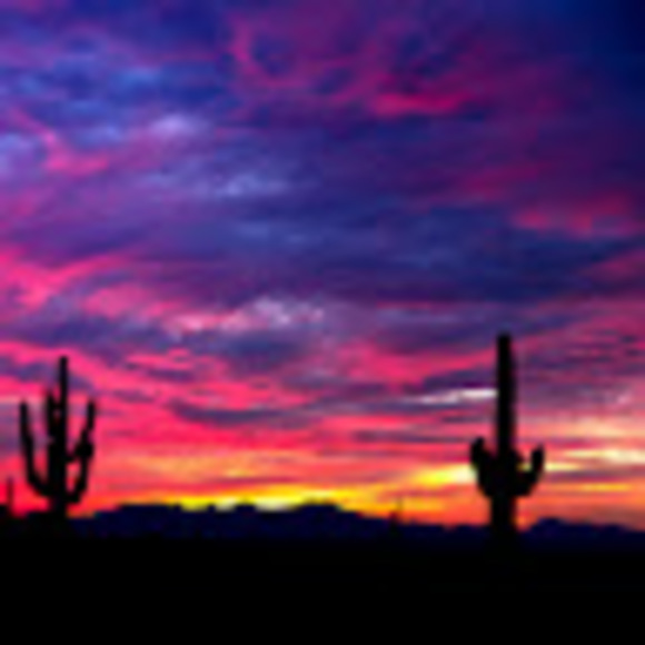 Profile Picture of Shannon Falcone (@mrsfalcone97) on Poshmark