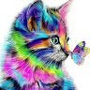 Profile Picture of amandarountree (@amandarountree) on Tiktok