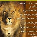 Profile Picture of Nestor Cuevas (@cuevas1854) on Instagram