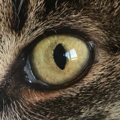 Profile Picture of Mark Vasey (@MarkVasey1) on Twitter