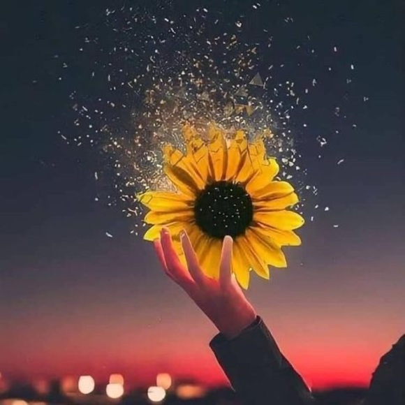 Barrios Rbd - Poshmark Profile Picture of Barrios Rbd (@barriosrbd) on Poshmark