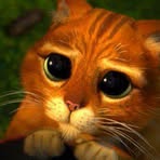 Profile Picture of Ionescu Sterian (@ionescu.sterian) on Facebook