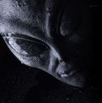 Profile Picture of Thomas Dilly (@thomas.dilly.33) on Facebook