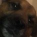 Profile Picture of Harry Moran (@harry.moran.92167) on Facebook