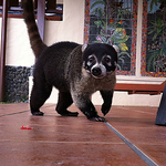 Profile Picture of KENNETH HARVEY (@rqh30926) on Flickr