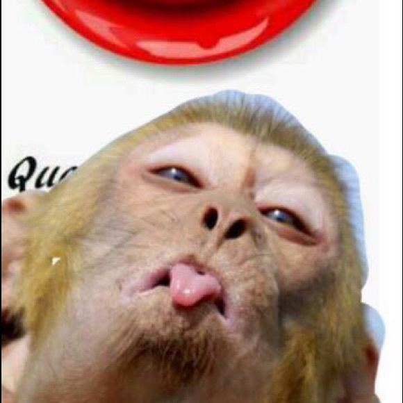 Profile Picture of Asneri Rodriguez (@asneri) on Poshmark