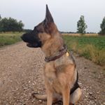Profile Picture of Jacob Steffensen (@steffensen.jacob) on Instagram