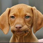 Profile Picture of Graham Galloway (@grahamgalloway3) on Instagram