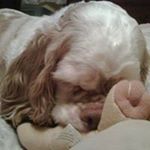 Profile Picture of Sharon Lewis Hirsch (@sharon_hirsch17) on Instagram