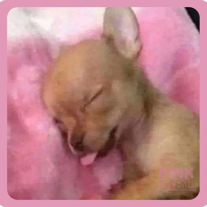 Profile Picture of Mya🥰❤️‍🔥♐️ (@myajcampbell) on Tiktok