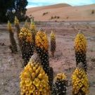 Profile Picture of Nicole Perry (@nwperry) on Pinterest