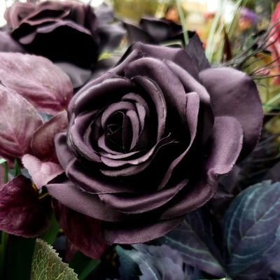 Profile Picture of じる (@Jill_stack010) on Twitter