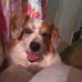 Profile Picture of Janice L. TrimbleCotton (@janice.trimblecotton) on Facebook