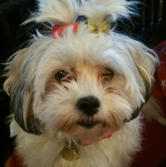 Profile Picture of Sharon Hyndman (@sharonlhyndman) on Poshmark