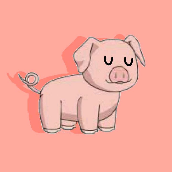 Profile Picture of 🐷clari🐷 (@clari.flower) on Tiktok