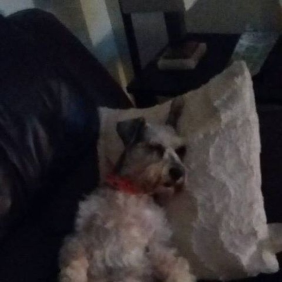 Profile Picture of Maureen Fulcher (@mosey1969) on Poshmark