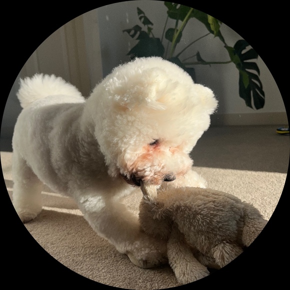 Profile Picture of Jacob Doan (@jt_doan) on Poshmark