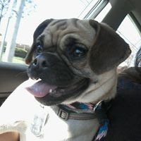 Profile Picture of Amber Cornell (@amber-cornell-5) on Quora