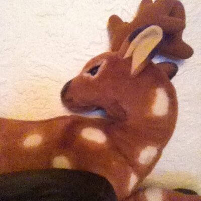 Profile Picture of Ian Cornish (@icornish) on Twitter