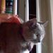 Profile Picture of Alexa Painter (@alexap0388) on Pinterest