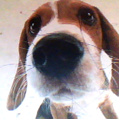 Profile Picture of Chloe Mcgrath (@chloemcgrath730) on Twitter