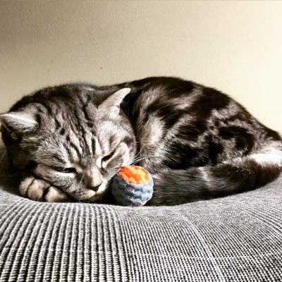 Profile Picture of Michael G Schmid (@MichaelGSchmid1) on Twitter