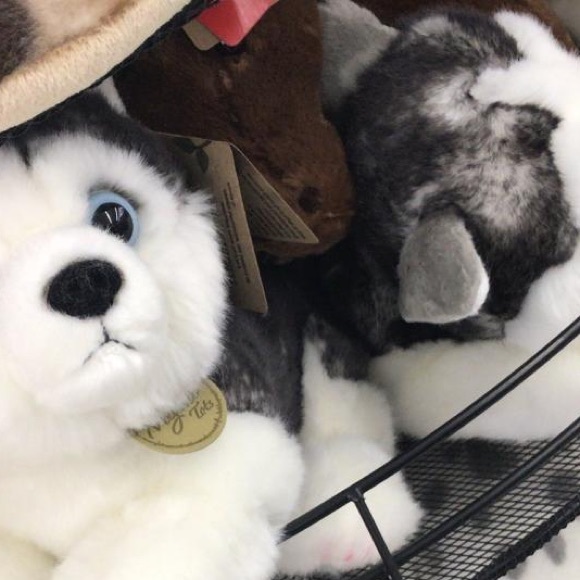 Profile Picture of Michael Anaya (@michaelanaya1) on Poshmark