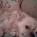Profile Picture of Jessie Gresham (@jessie.gresham.3) on Facebook