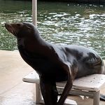 Profile Picture of Doug Cormack (@dougiedcj) on Instagram