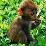 Profile Picture of Olivia Parrish (@fab_loom) on Instagram