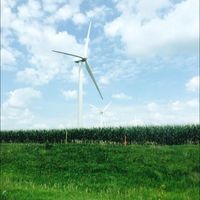 Profile Picture of Whitney Mcfarland (@whitney-mcfarland-6) on Quora