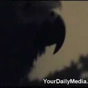 Profile Picture of Eric Watters (@Geronimo897) on Youtube