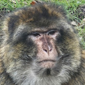 Profile Picture of Jamie Holmes (@jamieholmes6198) on Youtube