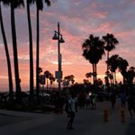 Alex Ayoub - Instagram Profile Picture of Alex Ayoub (@alex.ayoub01) on Instagram