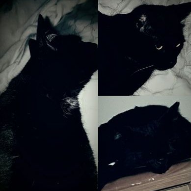 Profile Picture of Matthew Peralta (@mattperalta007) on Twitter