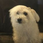 Profile Picture of Our MuM: @biancaalcorta (@texasgoodboys) on Instagram