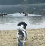Profile Picture of Duggie Lachhman (@duggie041512) on Instagram
